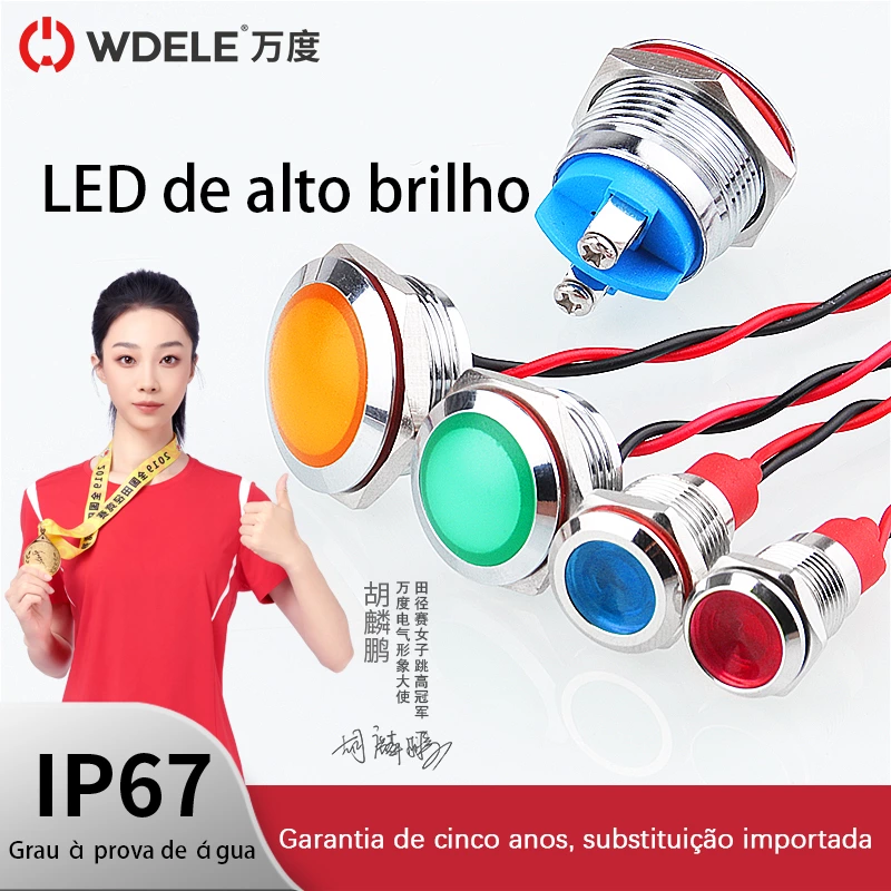 Luzes indicadoras de sinalização metálicas da série WD-L